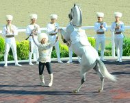Праздник туркменского скакуна. Фоторепортаж