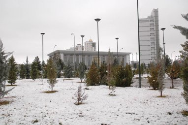 Последний снег января 
