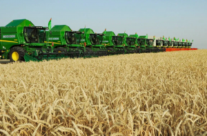 В Туркменистане создали комиссию по организованному проведению жатвы зерновых