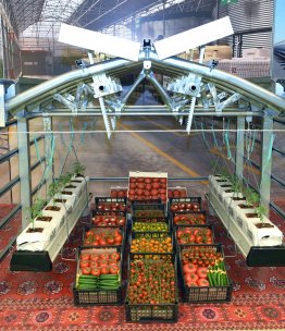 Fotoğraf raporu: Agro Pack Türkmenistan ve Türkmen Gıda sergisi Aşkabat'ta açıldı