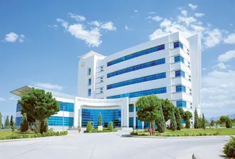 International Center for Diagnosis and Treatment of Head and Neck Diseases