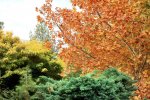 AUTUMN: 15 interesting facts about autumn
