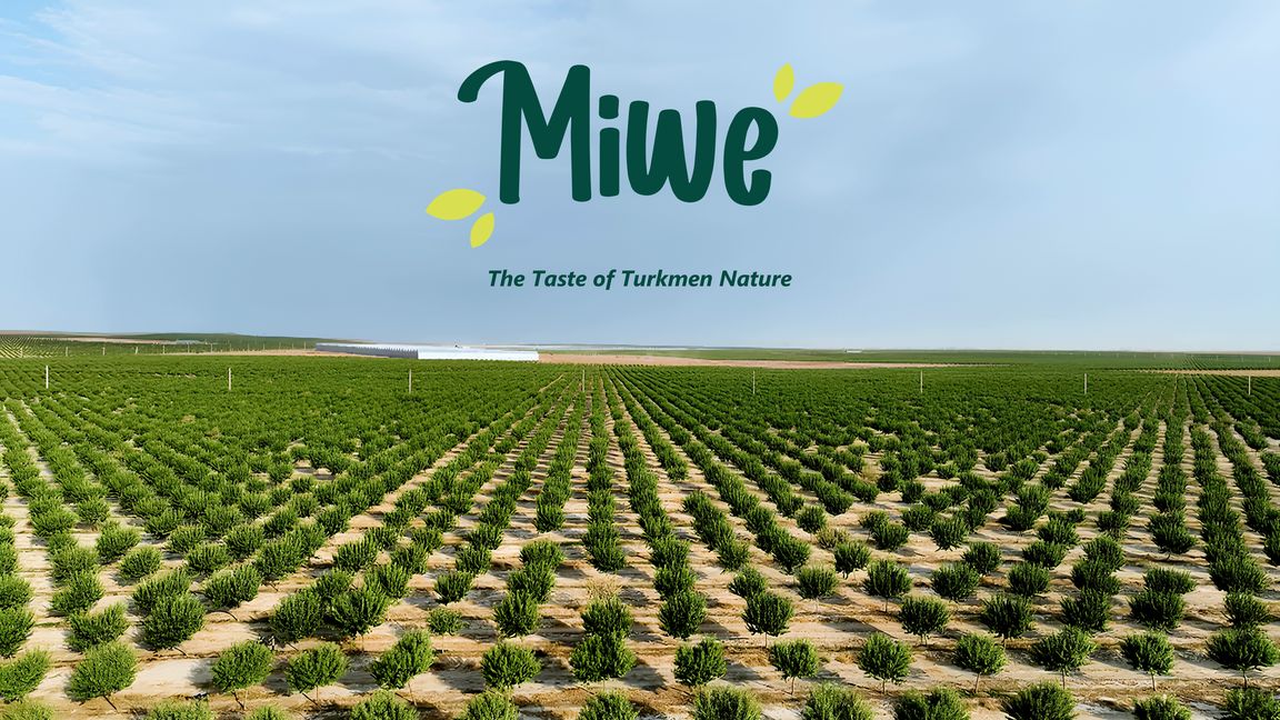 
«Miwe» AGPJ «QACIS 2025» halkara maslahatyna kümüş hemaýatkär hökmünde goldaw berer 