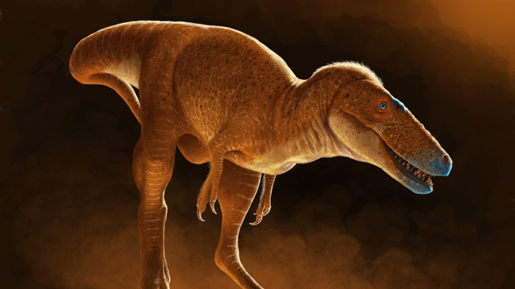 Dinozawrlaryň täze görnüşi açyldy