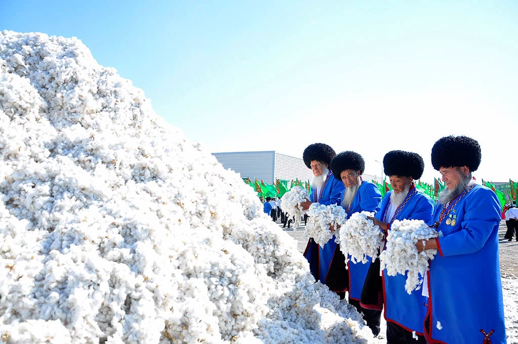 Ахалский велаят первым в Туркменистане выполнил план по сбору хлопка