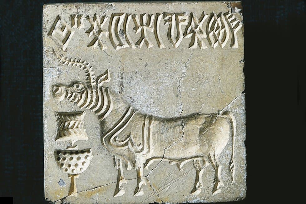 Hindistanda gadymy haty okamak üçin 1 million dollar baýrak yglan edildi