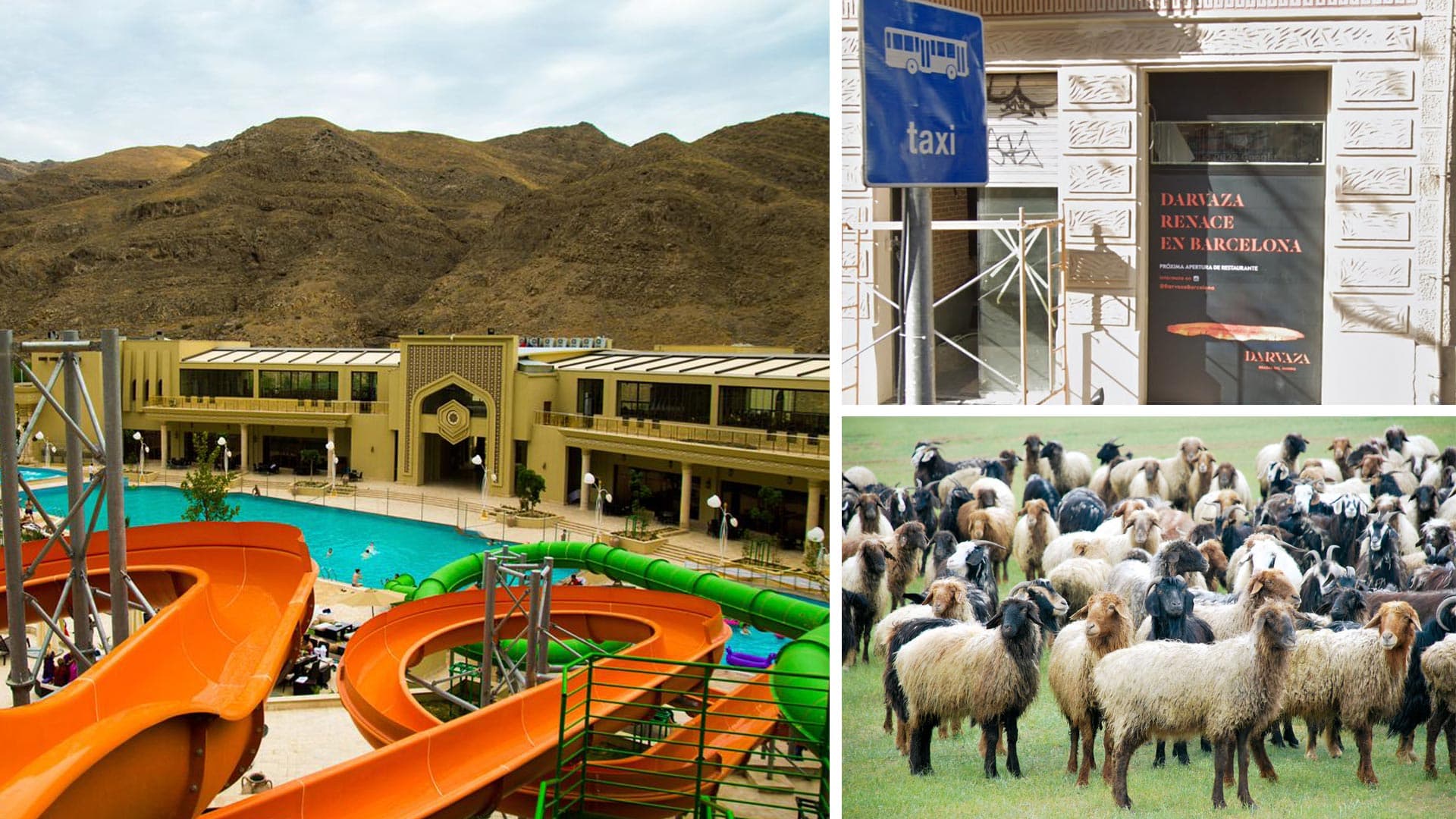 «Gala» dynç alyş merkezinden Aşgabada mugt mikroawtobus gatnawy ýola goýuldy, Barselonanyň öz «Derwezesi» peýda boldy, Russiýa Türkmenistandan 700 tonnadan gowrak goýun ýüňüni satyn aldy