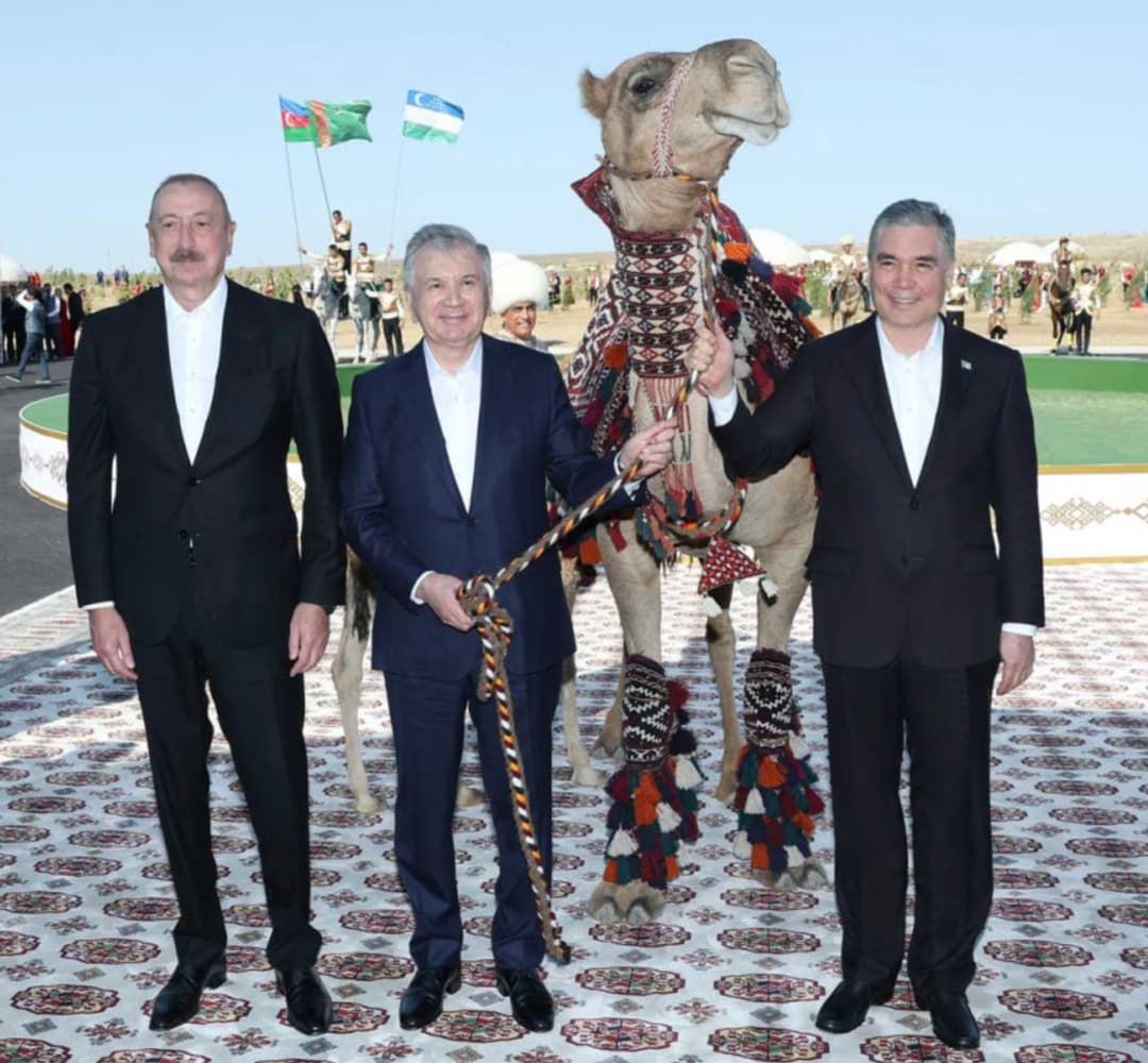 Gurbanguly Berdimuhamedow Ilham Aliýewe bedew, Şawkat Mirziýoýewe arwana düýe sowgat etdi