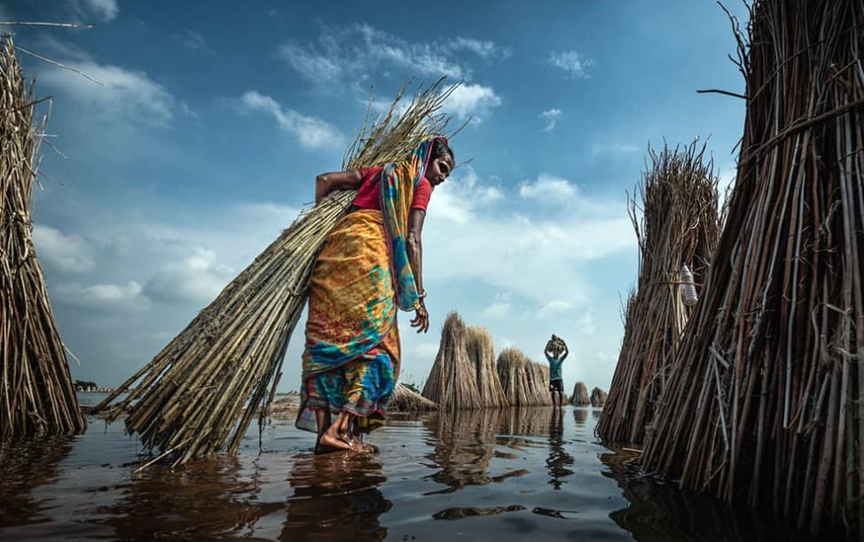 II Международный фотоконкурс «Ферула 2021» приглашает участников