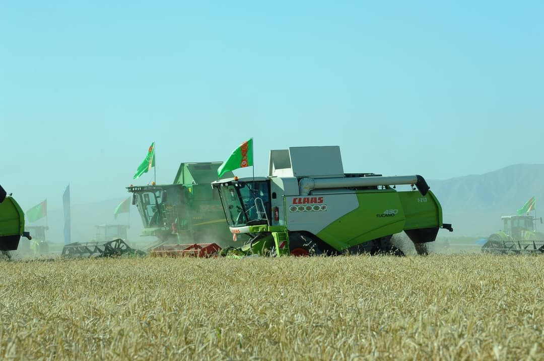 В Туркменистане стартовала хлебоуборочная страда