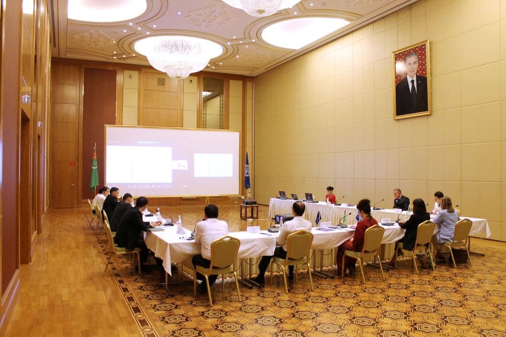 A seminar was held in Ashgabat to study the best practices of using API systems