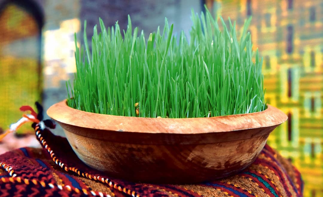 Президент Туркменистана поздравил соотечественников с   Национальным праздником весны – Международным днём Новруз