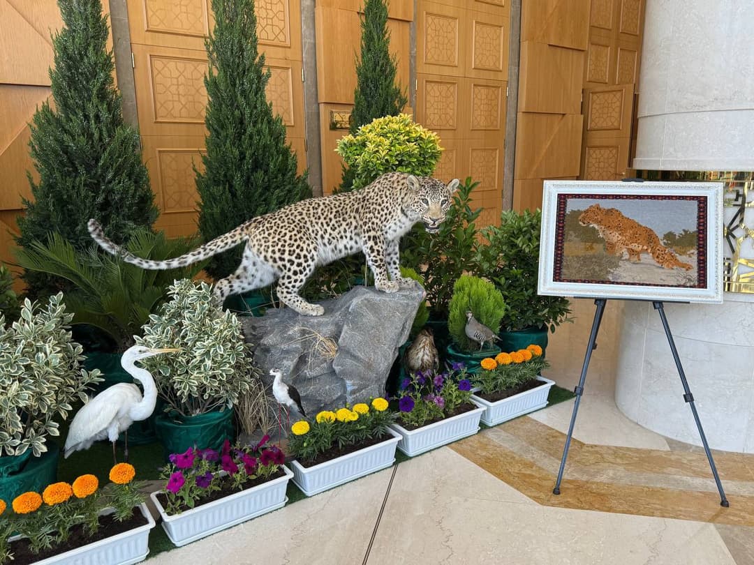 В рамках регионального форума работает выставка уникальной флоры и фауны Туркменистана