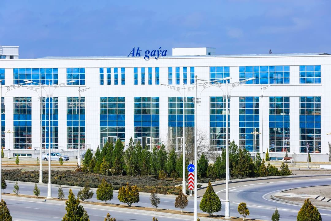 Ak gaýa предлагает большой выбор наружных и межкомнатных дверей