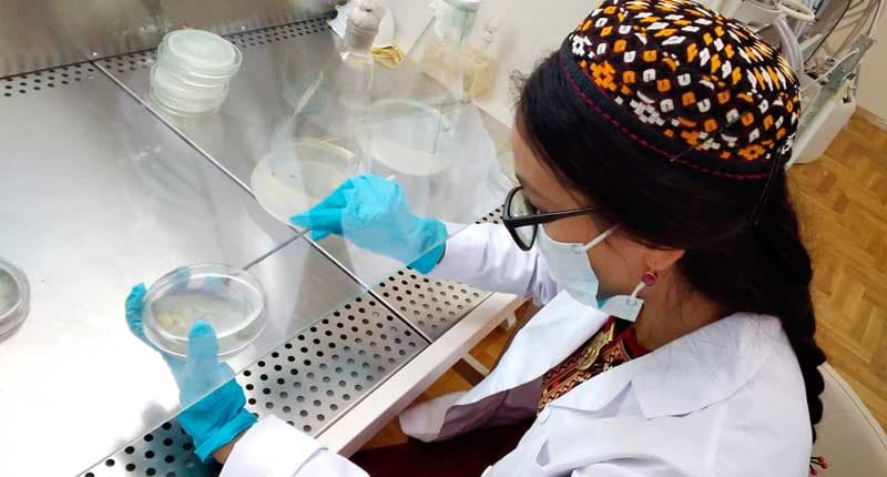 Туркменские биологи из местного материала создали биоудобрение на основе почвенного гриба 