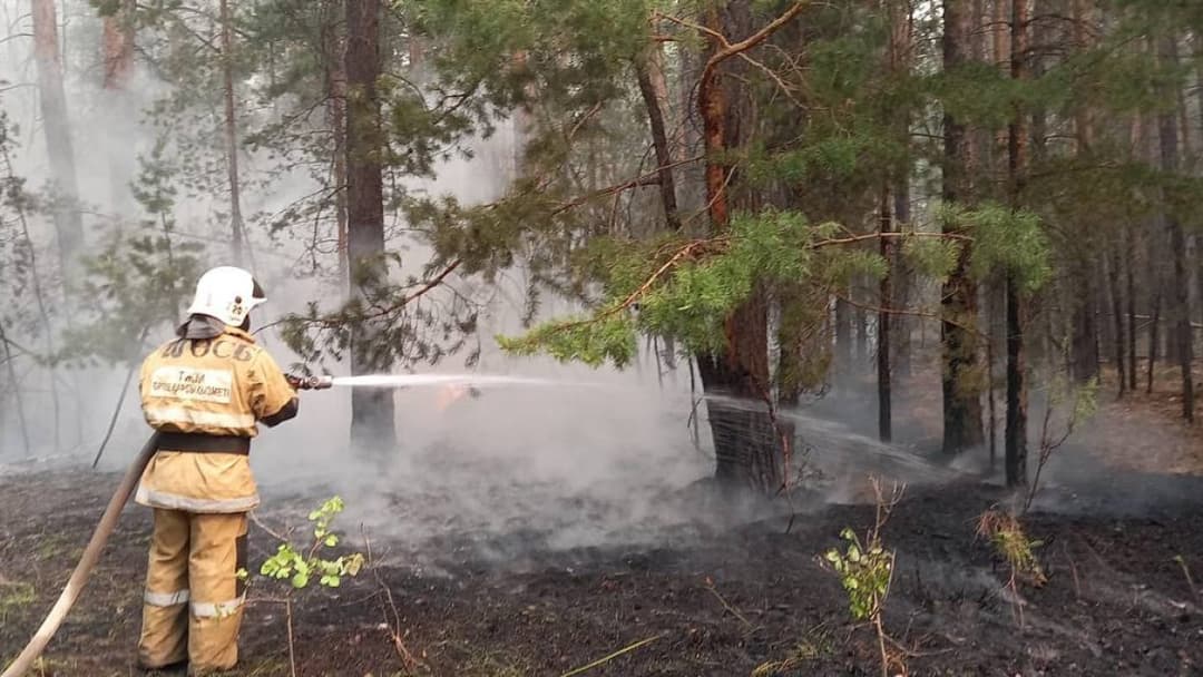 Serdar Berdimuhamedow Gazagystanda bolan tokaý ýangynlaryna gynanç bildirdi