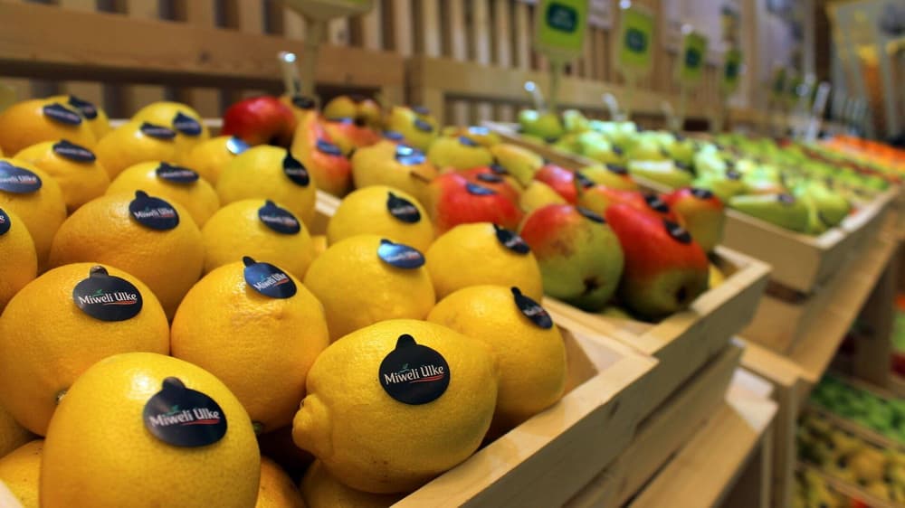 Туркменская компания Miweli ülke предлагает на экспорт плодоовощную продукцию