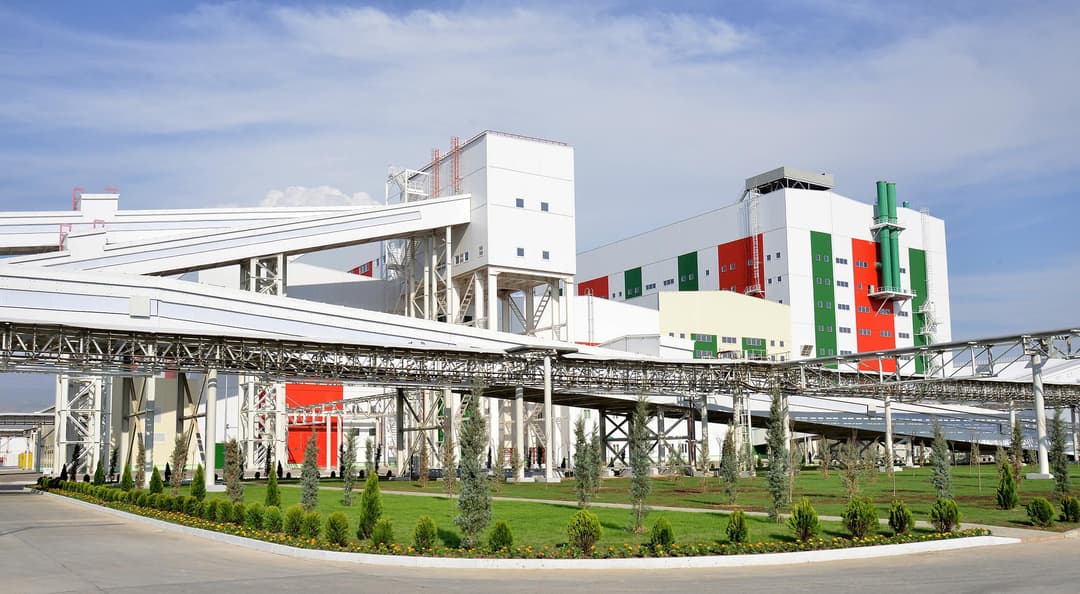 Лукашенко поручил новому послу Беларуси в Туркменистане уладить ситуацию с Гарлыкским комбинатом