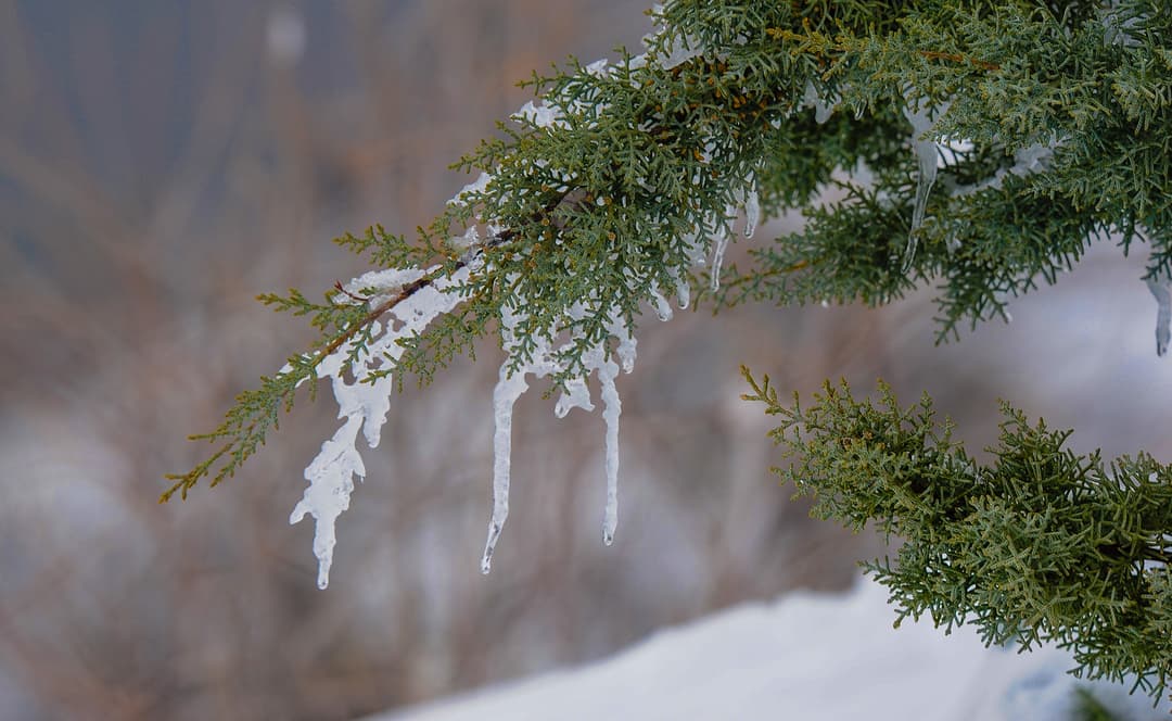 В Ашхабаде на выходных ожидается мокрый снег с дождем