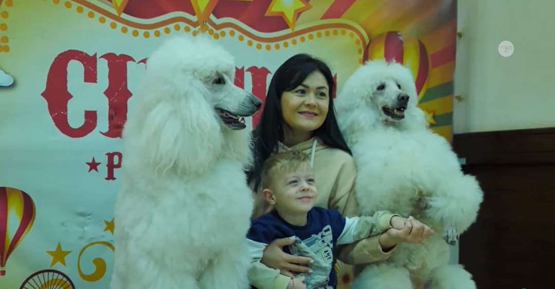 The tour of the Great Moscow Circus has ended in Turkmenistan