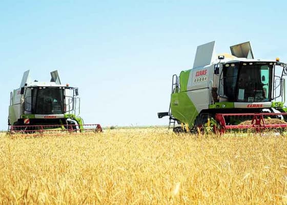 Балканский велаят первым в Туркменистане выполнил план по сбору пшеницы