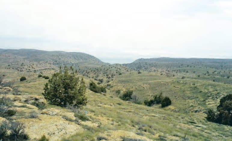 The mountains of the Big Balkhan will be included in the system of specially protected natural areas of Turkmenistan