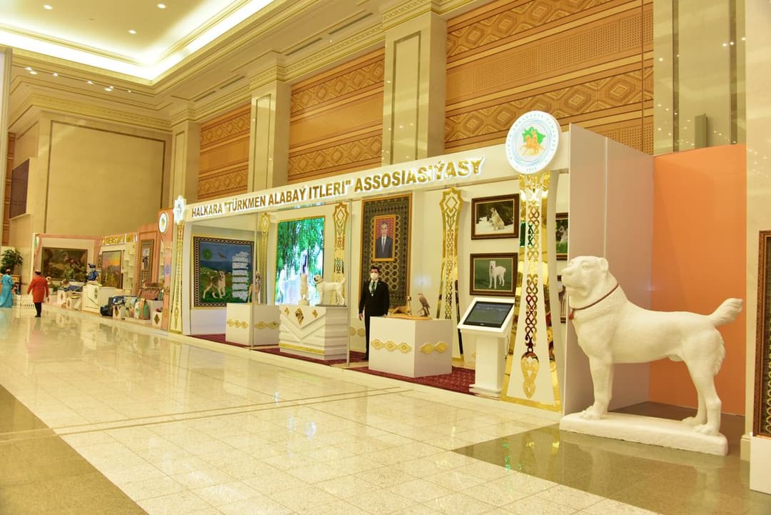 Aşgabatda halkara ylmy-amaly maslahat we sergi öz işine başlady