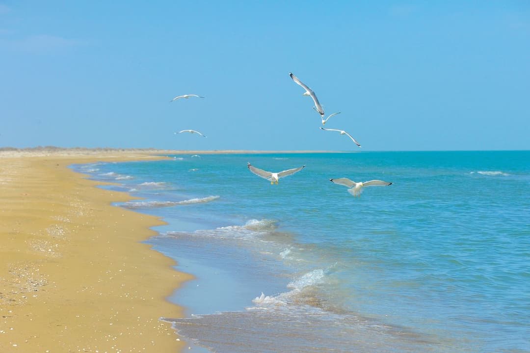 President of Turkmenistan instructed to consider the possibility of supplying water from the Caspian Sea to Ashgabat