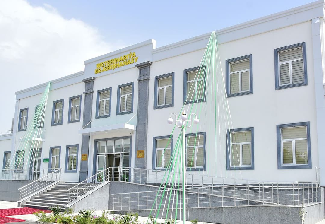 В Ахале при участии Сердара Бердымухамедова открылась первая в Туркменистане инновационная ветеринарная клиника