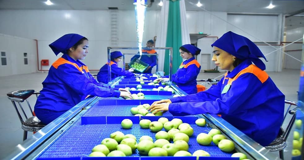На долю частных предприятий приходится большая часть произведённой в Лебапском велаяте продукции