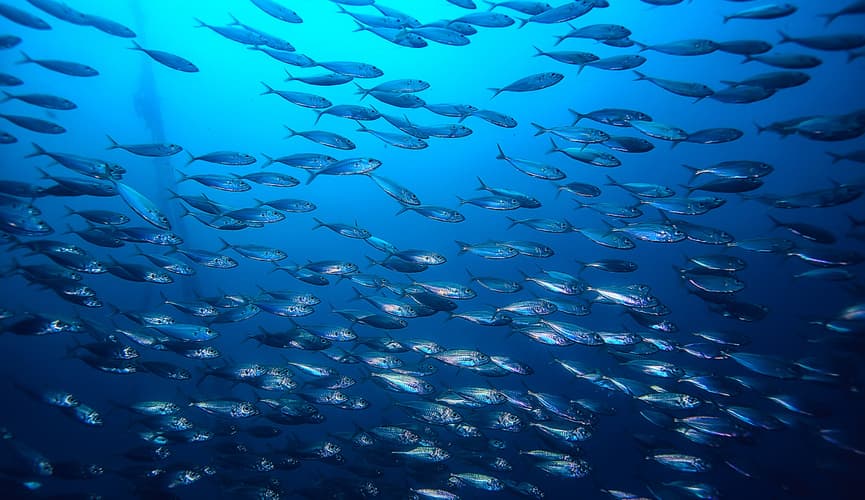 Suwuň astynda 110 gün ýaşan germaniýaly inžener täze rekord goýmakçy