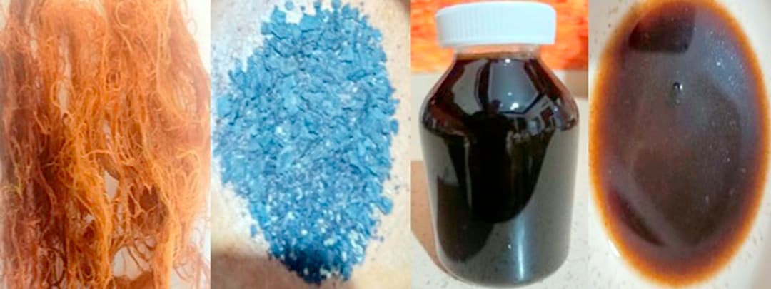 В Туркменистане запатентовали технологию получения йода и полисахаридов из водорослей