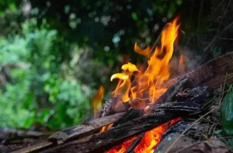 Лесной пожар бушует в пригородах Лос-Анджелеса