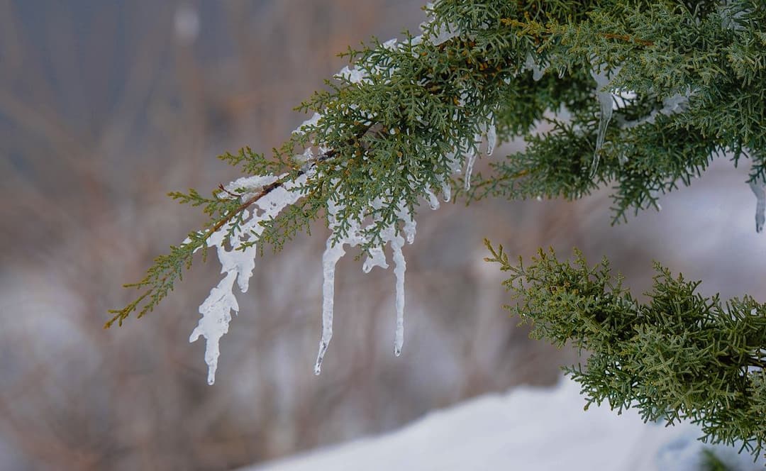 Sub-zero temperature records have been broken in a number of regions of Turkmenistan
