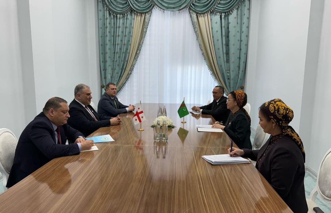 Gürcistan Sağlık Bakanı, Aşkabat'ta sağlık sisteminin yöneticileriyle toplantılar düzenledi