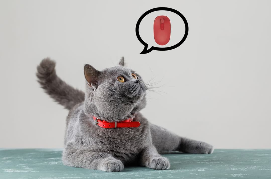 Как менялась компьютерная мышь: от деревянного куба до беспроводных технологий