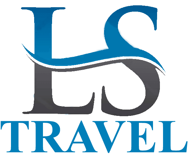 Wiza işler boyunça hünärmen