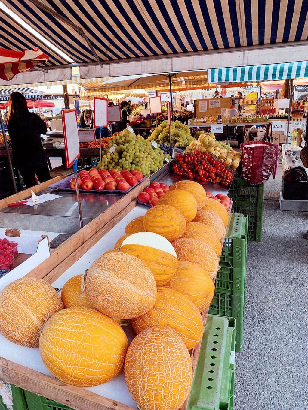 Туркменистан начал экспортировать дыни в Австрию