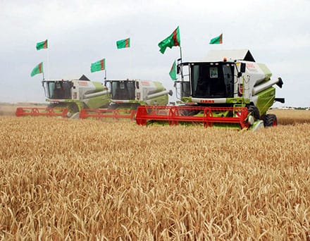 Президент Туркменистана создал госкомиссию по проведению жатвы зерновых