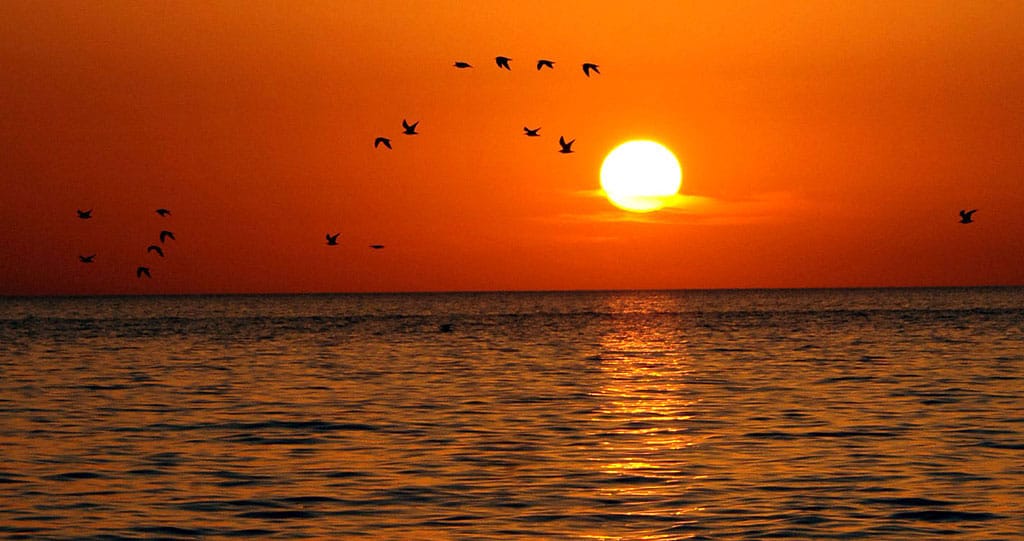 Туркменистан отметил День Каспия