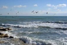 В Авазе открылся семинар по устойчивому развитию Каспия