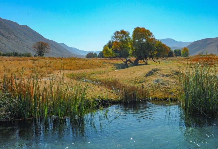Президент Туркменистана поручил усилить контроль за использованием водных ресурсов