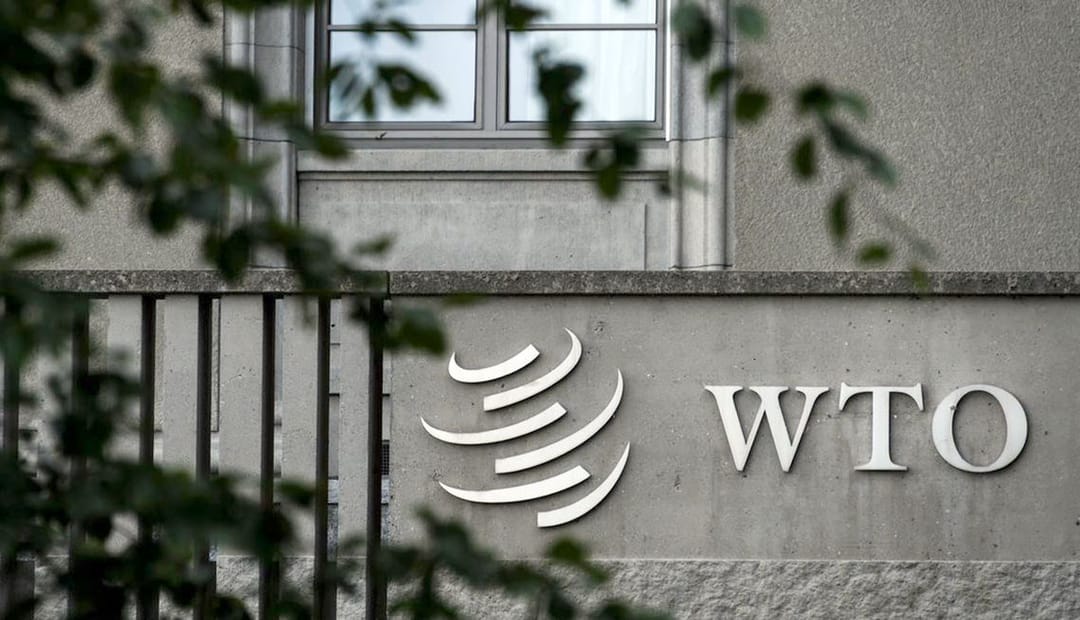 29-31 мая ожидается визит делегации ВТО в Туркменистан