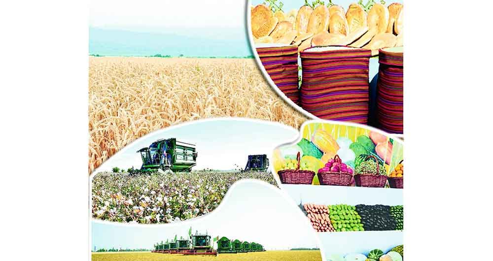 Türkmen oba hojalyk uniwersitetinde ylmy-barlag işleriniň netijeliligi artdyrylýar