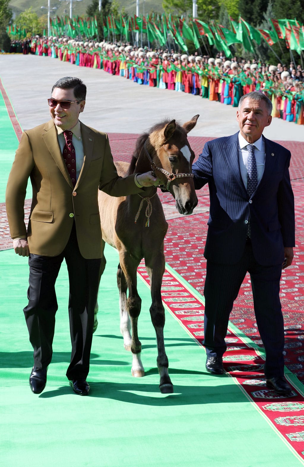 Рустам Минниханов: «В Туркменистане созданы все условия для продолжения славных традиций коневодства»