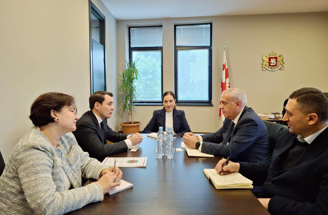 Посол Туркменистана обсудил с замминистра культуры Грузии перспективы сотрудничества