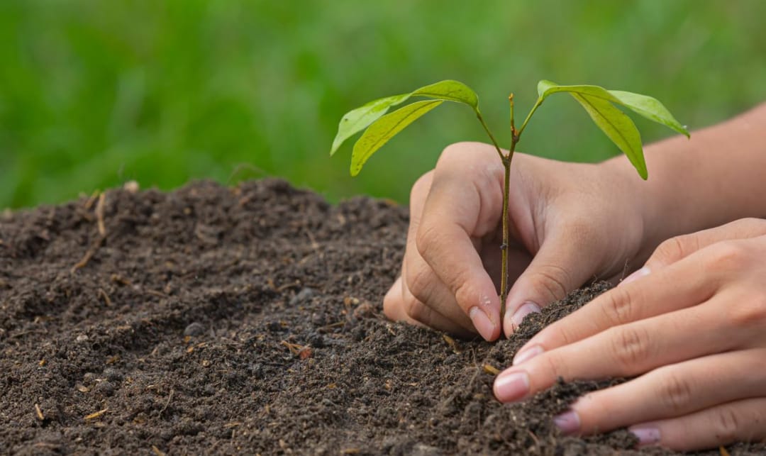 “Nokia” her satyn alnan enjam üçin bag nahalyny oturdar