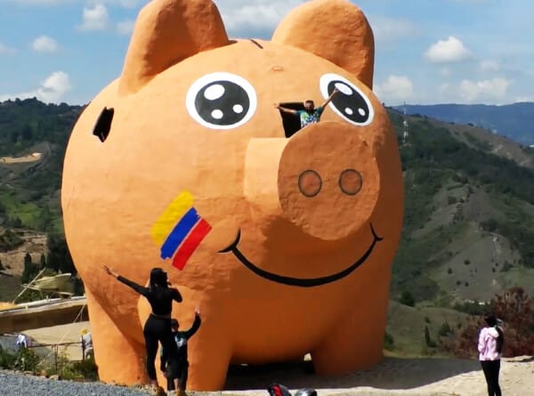 Kolumbiýada äpet doňuz-gazna ýasaldy