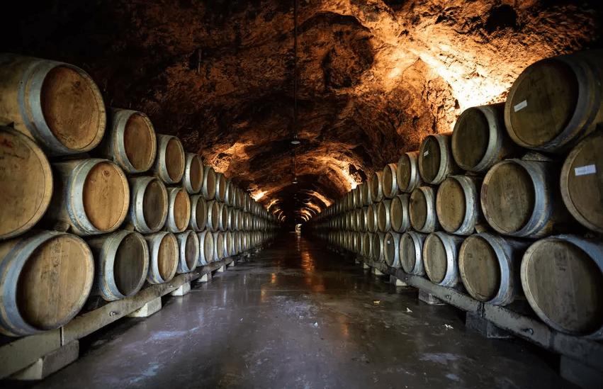 Archaeologists have found the oldest wine in the world