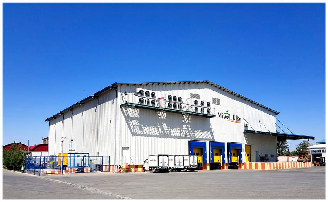 «Miweli ülke» Halkara onlaýn sergisine gatnaşmaga taýýarlanýar